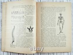 1904 Imperial Russian FOLDABLE HUMAN BODY Collapsible Model Antique BOOK
