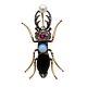 Antique Imperial Russian 56 Gold Bug Cicada Beetle Brooch Pin Romanov Jewelry Ru
