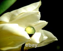 Antique, Siberian, Apple Green, Translucent Imperial Jade Cabochon 3.7Ct Ring