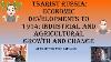 Tsariste Russie Développements Économiques Vers 1914 Croissance Et Changement Industriels Et Agricoles